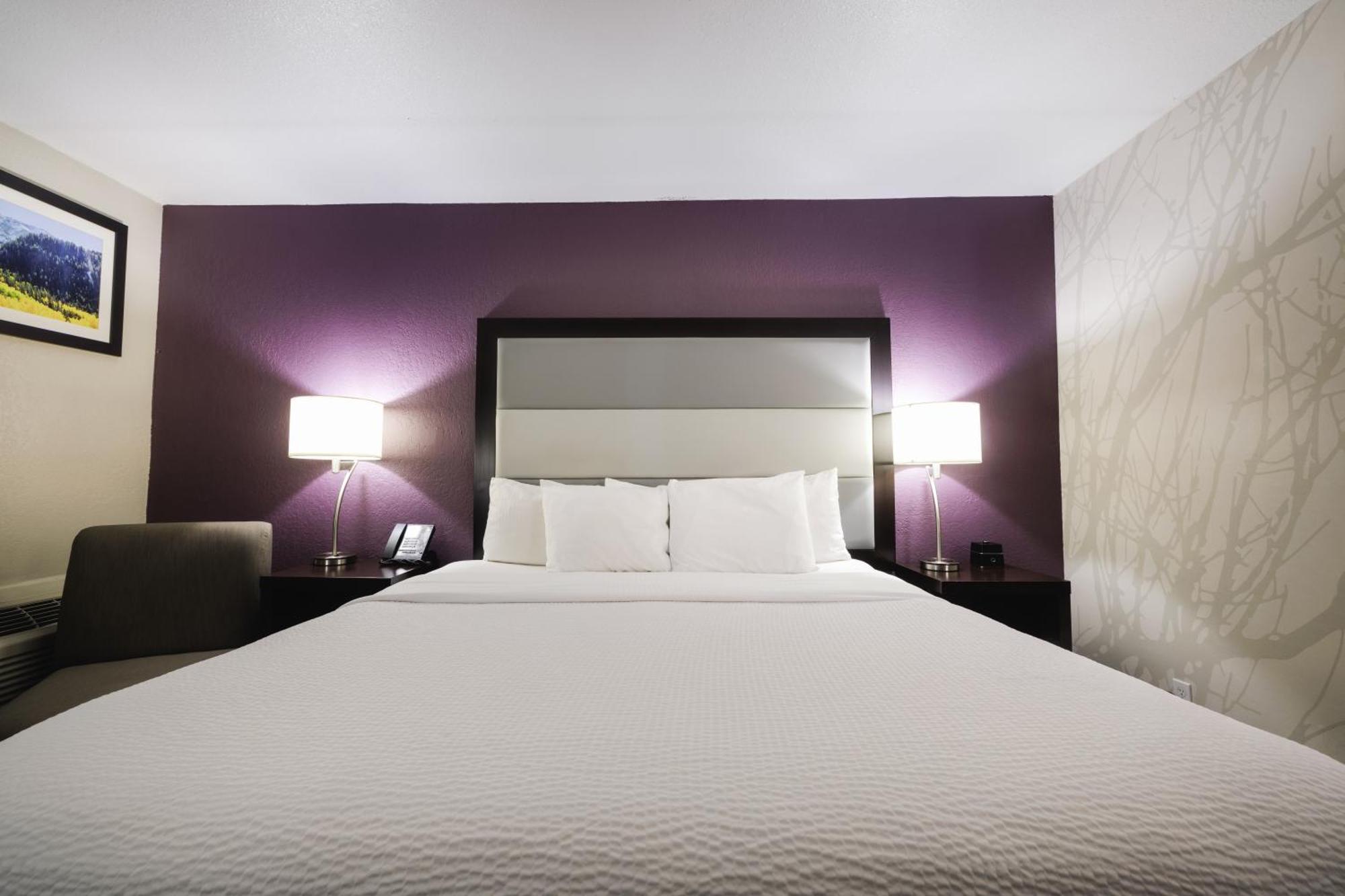 La Quinta Inn & Suites By Wyndham Fort Collins, Colorado Esterno foto